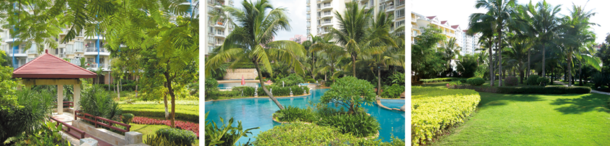 1653019295108375.png 1653019295108375.png